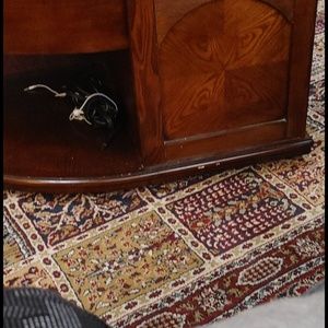 Meet your Posher, Moustafa